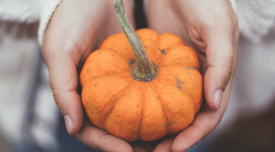 Knee-deep in Planning Holiday Menus? Me too!