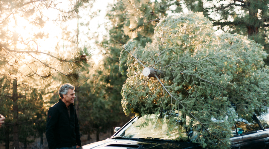 Rolling into the next run of holidays – 2021 here we come!