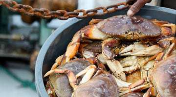 Get your bib out – and don’t forget the garlic butter!